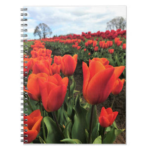 Cuaderno Naranja Tulips en un campo, Oregón