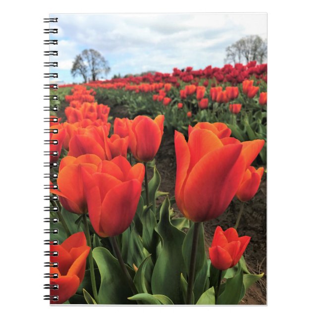 Cuaderno Naranja Tulips en un campo, Oregón (Frente)