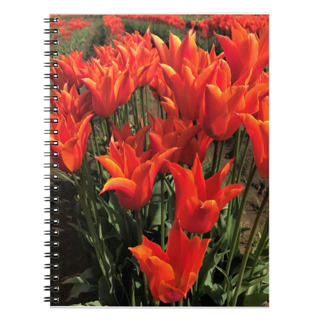 Cuaderno Naranja Tulips, Oregón (Frente)