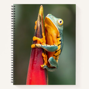 Cuaderno Naranja verde de rana de árbol de mono con leyenda