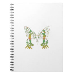 Cuaderno Naranja verde moth de insectos