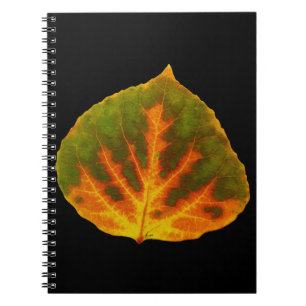 Cuaderno Naranja verde y hoja de aluminio amarillo #1