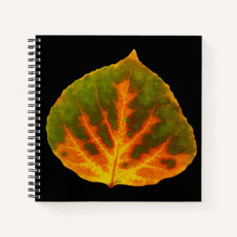 Cuaderno Naranja verde y hoja de aluminio amarillo #1