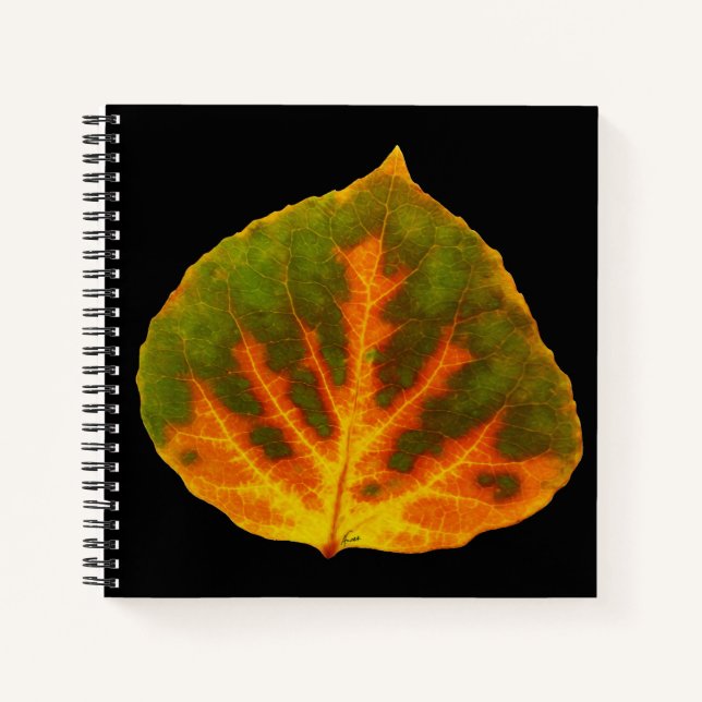 Cuaderno Naranja verde y hoja de aluminio amarillo #1 (Anverso)
