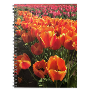 Cuaderno Naranja y tulipanes rojos