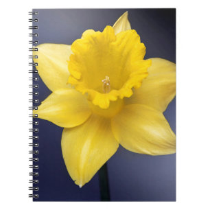 Cuaderno Narciso Amarillo Flor Flor Pintada acuarela floral