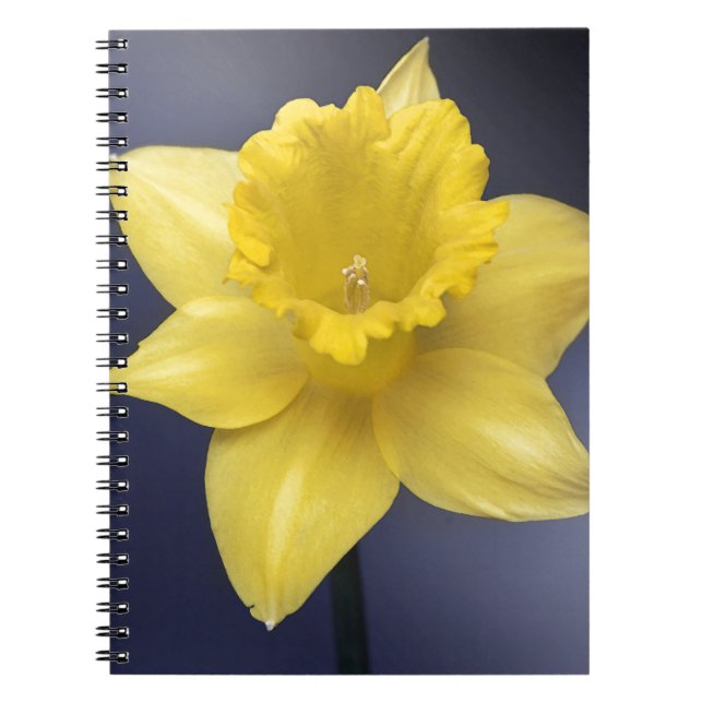 Cuaderno Narciso Amarillo Flor Flor Pintada acuarela floral (Frente)