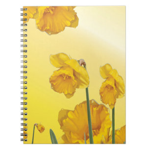 Cuaderno Narciso amarillo Vintage retro Daffodil