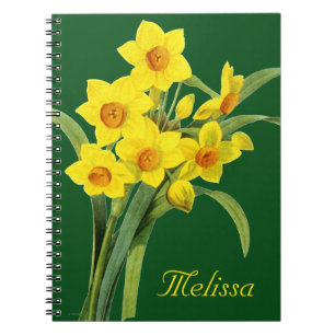 Cuaderno Narciso (N Tazetta)
