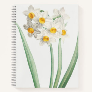 Cuaderno Narciso, Pierre-Joseph Redouté, 1805