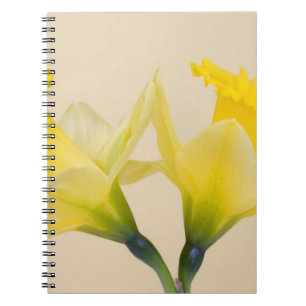 Cuaderno Narcisos amarillos