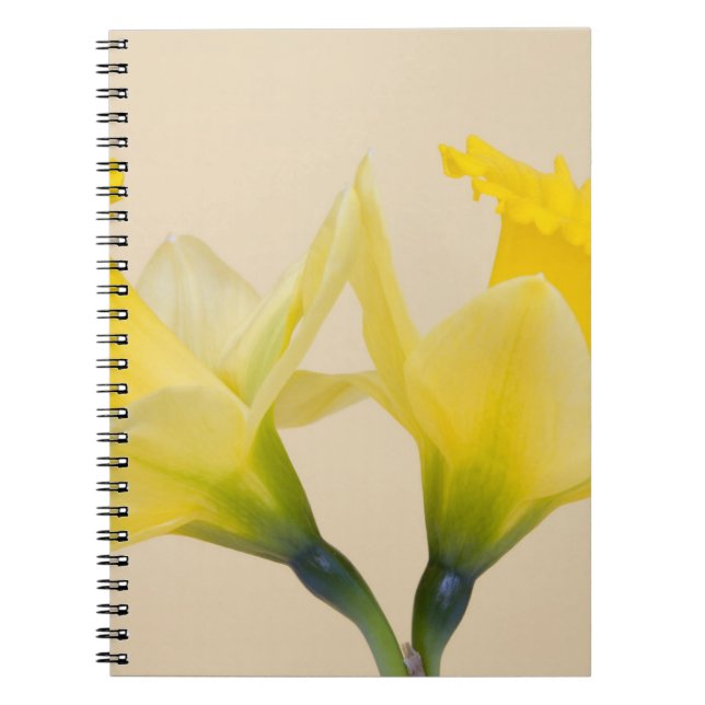 Cuaderno Narcisos amarillos (Frente)
