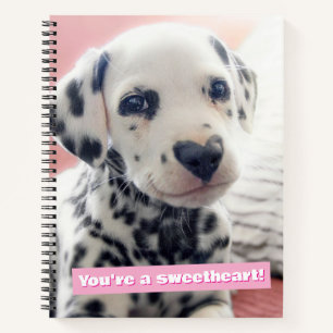 Cuaderno Nariz de Corazón Dálmata