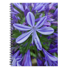 Cuaderno Natural Beauty: Vibrant Purple Flowers in the SAPA