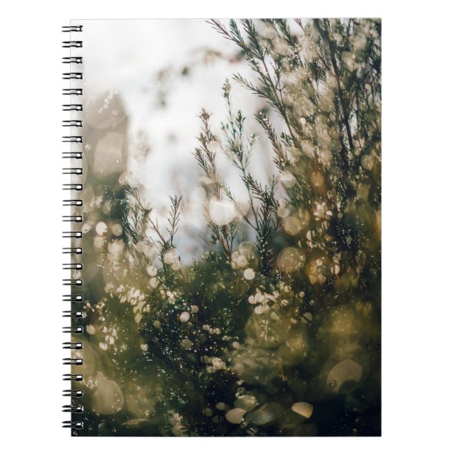 CUADERNO NATURALEZA (Frente)