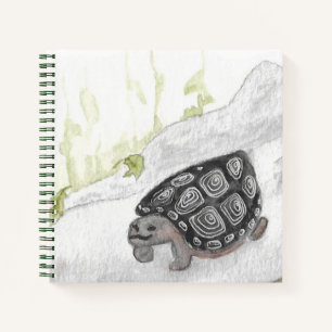 Cuaderno Naturaleza acuarcal Selva tortuga