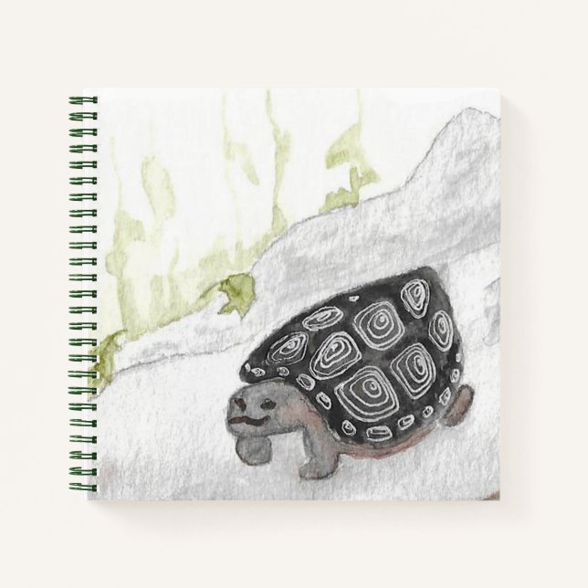 Cuaderno Naturaleza acuarcal Selva tortuga (Anverso)