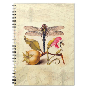 Cuaderno Naturaleza Botánica Libélula Arte Hoefnagel