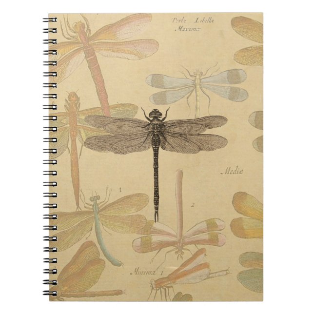 Cuaderno Naturaleza clásica de la época de la libélula (Frente)