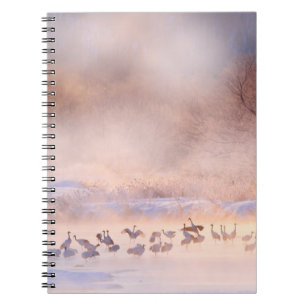 Cuaderno Naturaleza de invierno de Japón. Escena de vida si