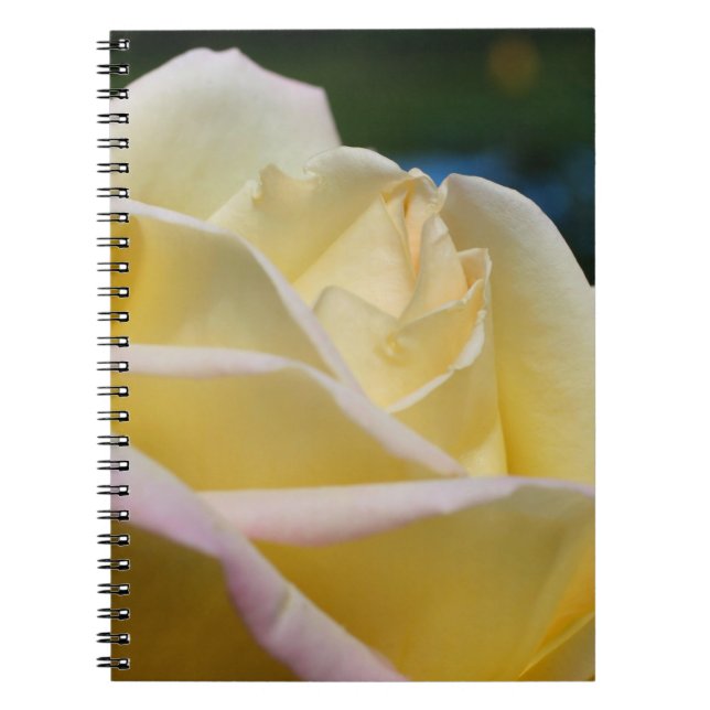 Cuaderno Naturaleza de la flor rosa amarillo pálido (Frente)