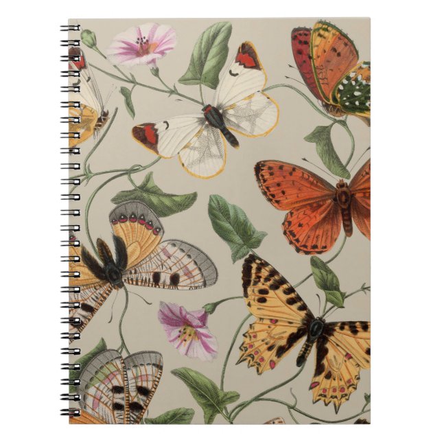 Cuaderno Naturaleza de la polilla de mariposa Dibujo acuare (Frente)