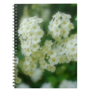 Cuaderno Naturaleza de las flores de los Rosas del juego bl