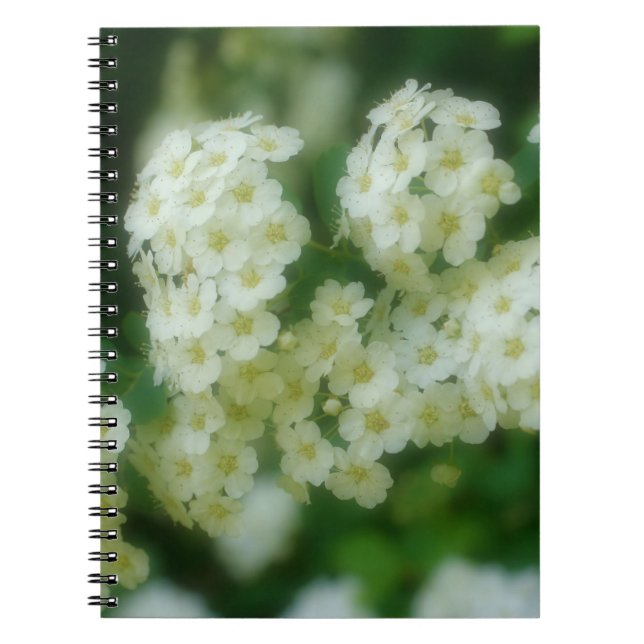 Cuaderno Naturaleza de las flores de los Rosas del juego bl (Frente)