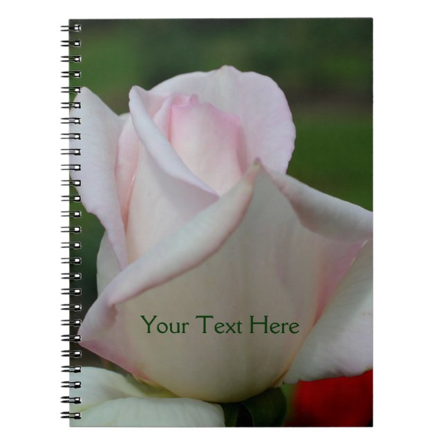 Cuaderno Naturaleza de las flores rosadas pálidas rosebud (Frente)