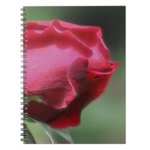 Cuaderno Naturaleza de las flores rosebudas rojas