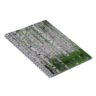 Cuaderno Naturaleza de los bosques de árboles de aves