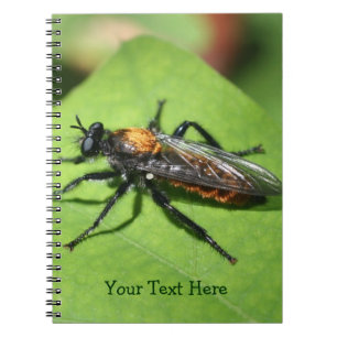 Cuaderno Naturaleza de los insectos voladores