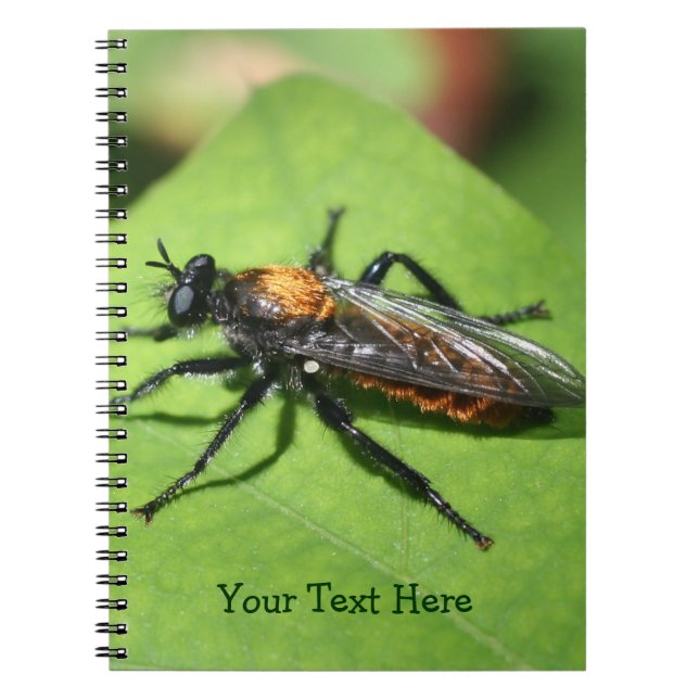 Cuaderno Naturaleza de los insectos voladores (Frente)