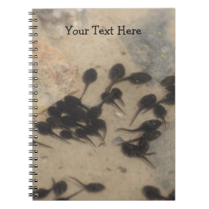Cuaderno Naturaleza de Tadpoles