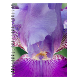 Cuaderno Naturaleza Iris brillante / Floral / Foto Botánica