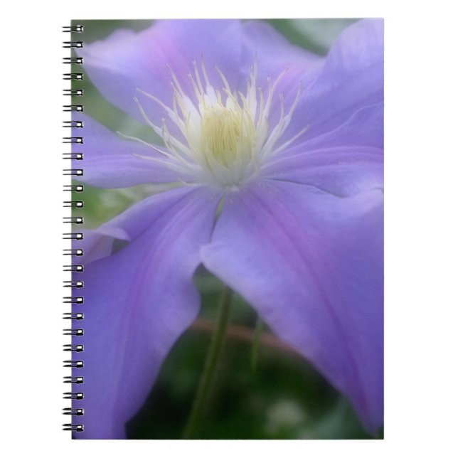 Cuaderno Naturaleza morada de las flores clematis (Frente)