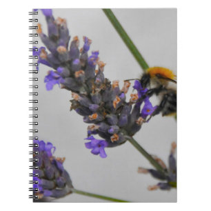Cuaderno Naturas trabajadores maravillosos