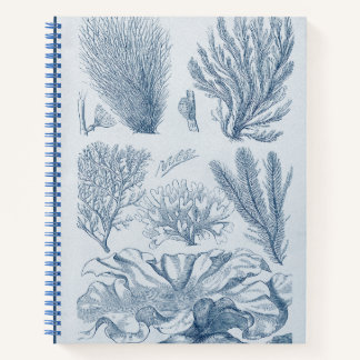 Cuaderno Nautical Sealife