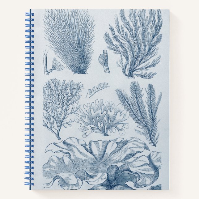 Cuaderno Nautical Sealife (Anverso)