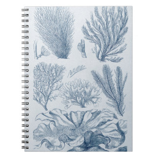 Cuaderno Nautical Sealife