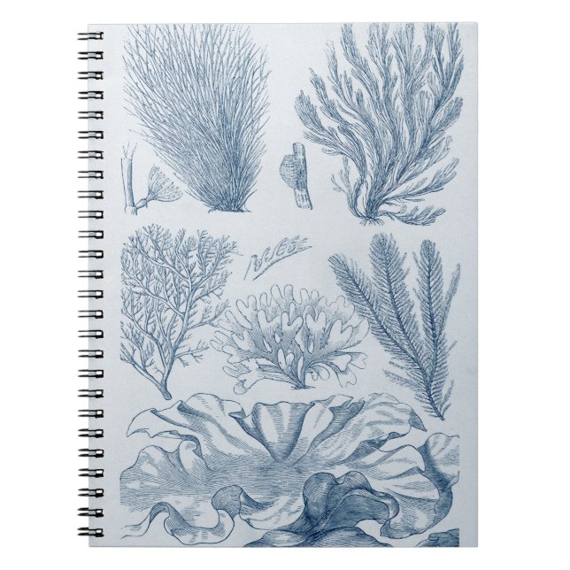 Cuaderno Nautical Sealife (Frente)