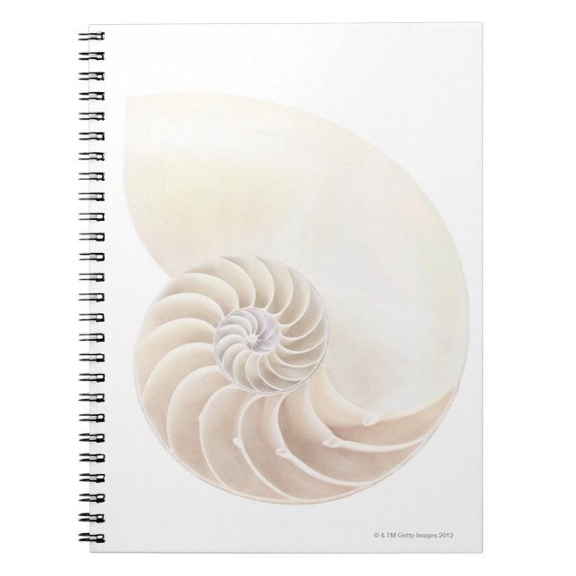 Cuaderno Nautilus Shell (Frente)