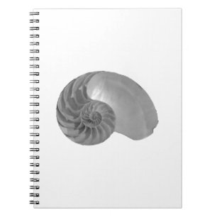 Cuaderno Nautilus Shell de la simplicidad de la complejidad