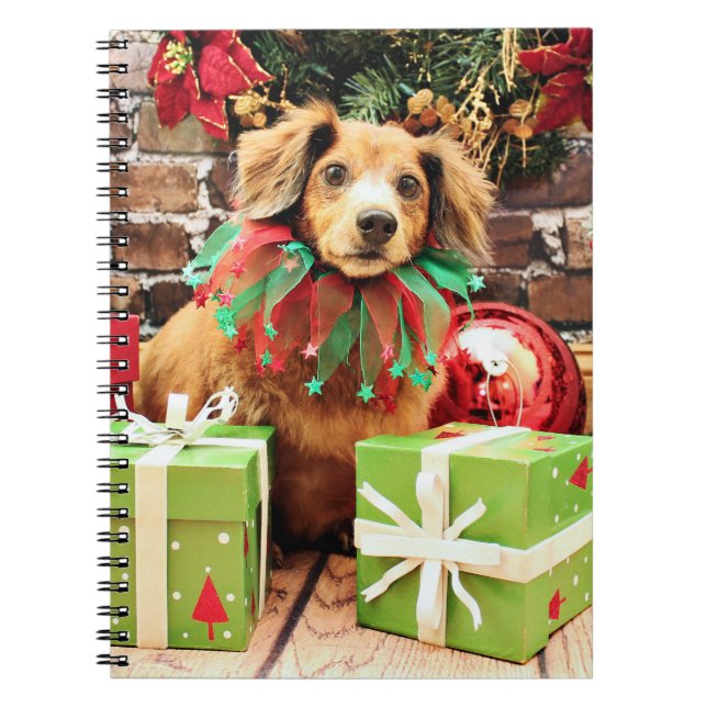 Cuaderno Navidad - perro de patas muy cortas - Heidi (Frente)