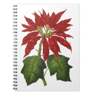 Cuaderno Navidad Vintage, Planta Invernal de Poinsettia Roj