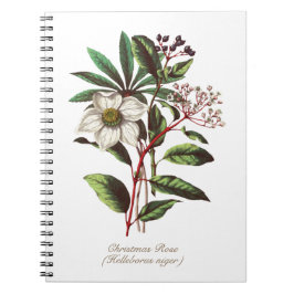 Cuaderno Navidades botánicos de época Rosa Flor Bouquet