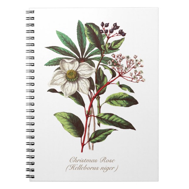 Cuaderno Navidades botánicos de época Rosa Flor Bouquet (Frente)