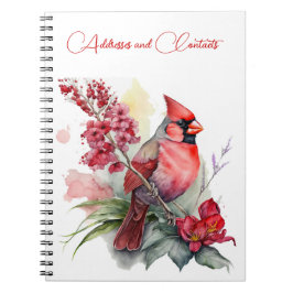 Cuaderno Navidades del Cardenal Rojo