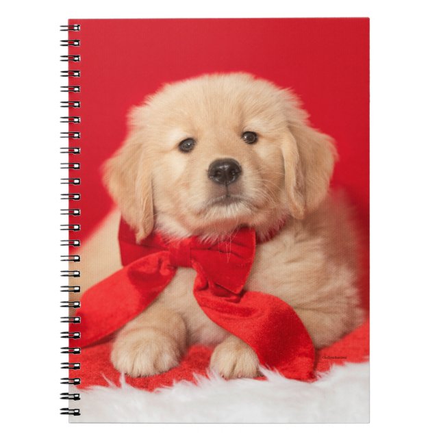 Cuaderno Navidades dorados de color rojo (Frente)