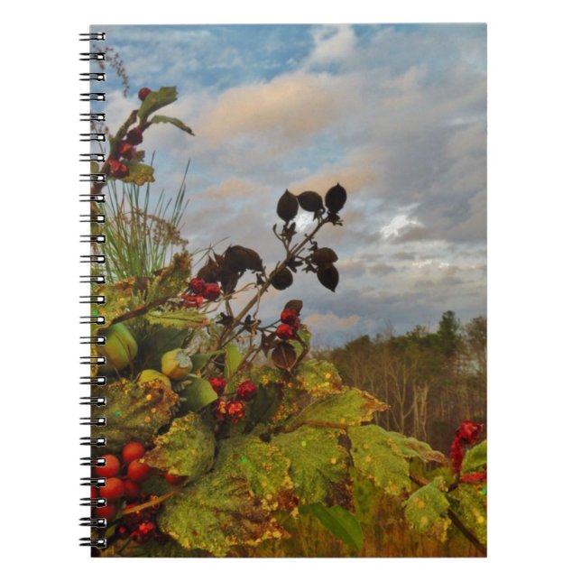 Cuaderno Navidades elegantes de Holly, (Frente)